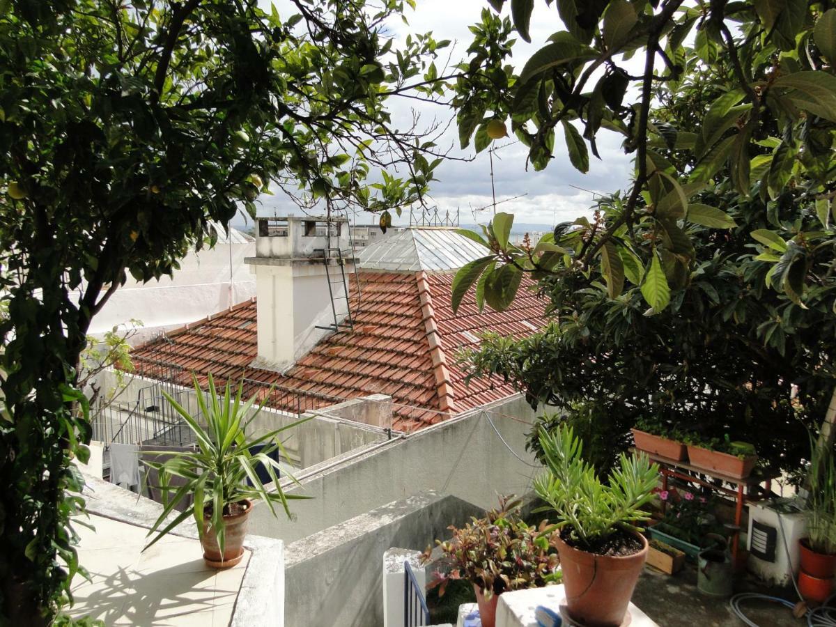 Apartamento The Country In The Town Lisboa