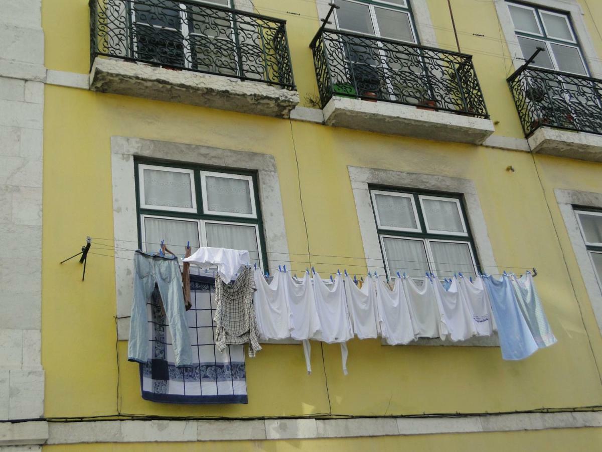 The Country In The Town *